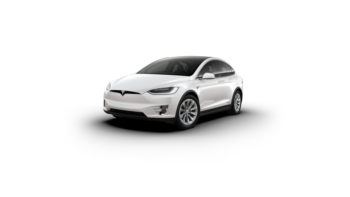 Tesla Model X Long Range （Raven）